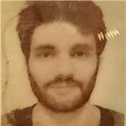 Offro lezioni di italiano a bambini e adulti da remoto in tutta Italia e  in presenza a Bologna.